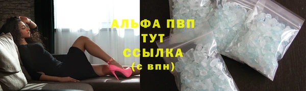 стафф Иннополис