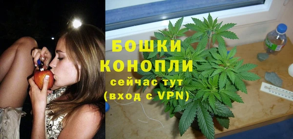 mdpv Елабуга