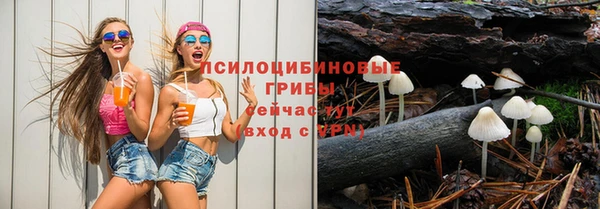 apvp Зерноград