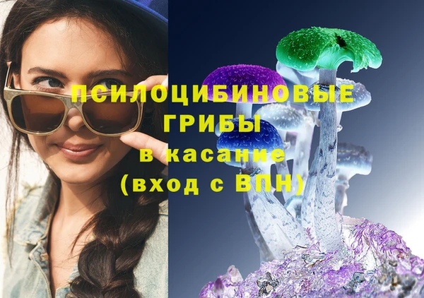 apvp Зерноград