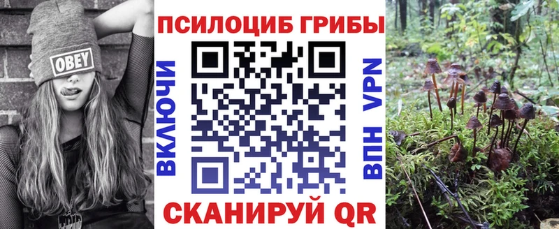 Псилоцибиновые грибы мухоморы  Малмыж 